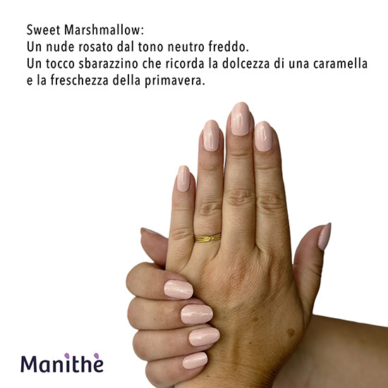 Sweet Marshmallow