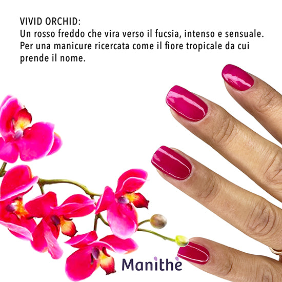 Vivid Orchid