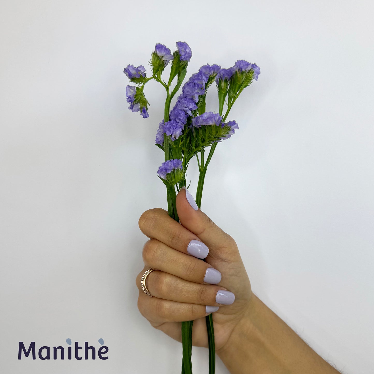 Sheer Lavender