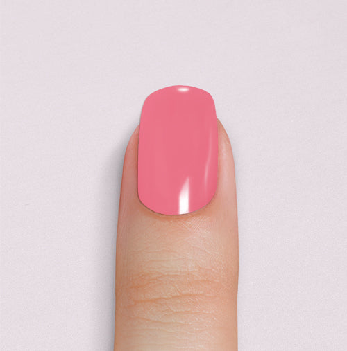 Pink Flamingo