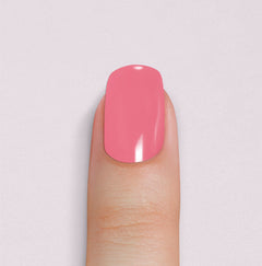 Pink Flamingo