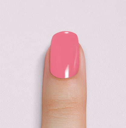 Pink Flamingo